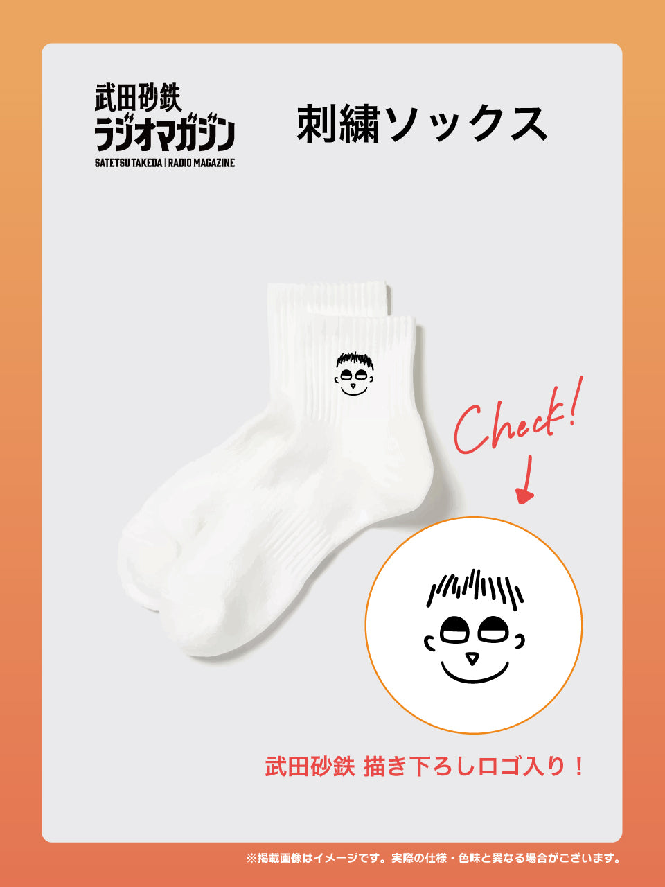 【受注生産品・12月下旬お届け】武田砂鉄 ラジオマガジン 刺繍ソックス